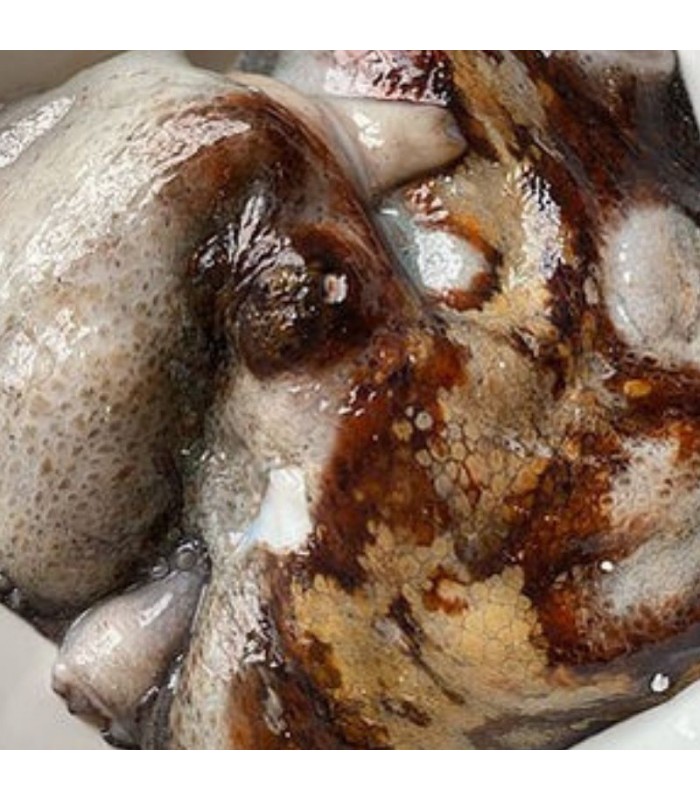 Pulpo Gallego Fresco