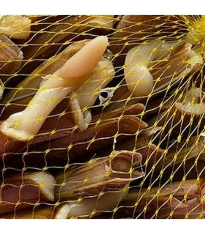 Navaja Gallega Buceo