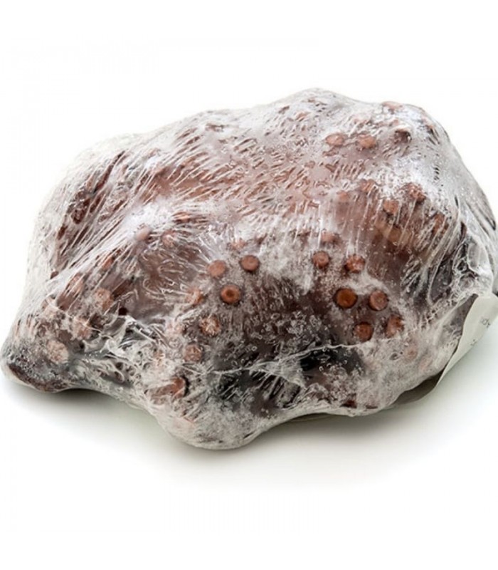 Pulpo Gallego Congelado