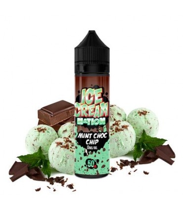 Ice Cream Nation Mint Choco Chip