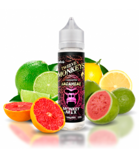 Twelve Monkeys Harambae