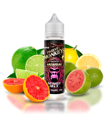 Twelve Monkeys Harambae