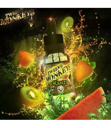 Twelve Monkeys Kanzi