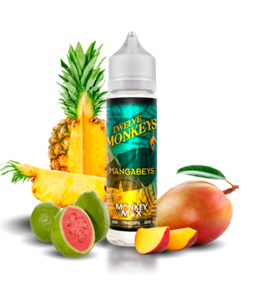 Twelve Monkeys Mangabeys