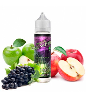 Twelve Monkeys Matata