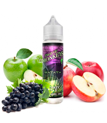 Twelve Monkeys Matata