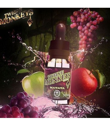 Twelve Monkeys Matata