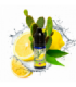 BigMouth Aroma Retro Juice Lemon & Cactus