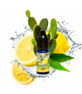BigMouth Aroma Retro Juice Lemon & Cactus