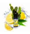 BigMouth Aroma Retro Juice Lemon & Cactus