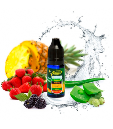 BigMouth Aroma Smooth Summer Strawberry Jam - Aloe Vera - Pineapple - Blackberry - Gooseberry (SAPBG)