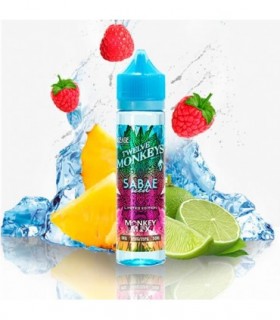 Twelve Monkeys Ice Sabae