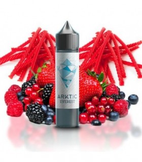 The Ark Arktic Everest